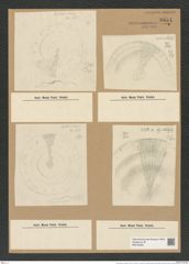 Coscinodiscus undatus (Cl.) Grun. (de-Toni-Nr.: Genus 202, Species 5093) Zeichnungen Sammlung Grunow Nr. 8854 (NHMW-BOT-W0378483)